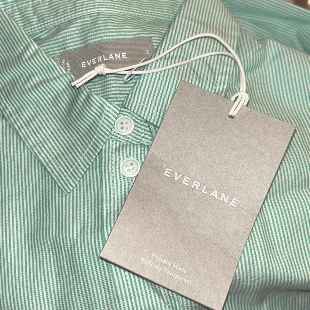 NWT Everlane The Silky Cotton Relaxed Shirt Mint Pinstripe size 2